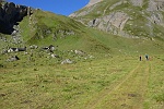 Alpe Bettelmatt (mt.2096)